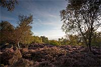 Chris Gilbert, Ravenseye Gallery, Peak District, Photographs, Courses